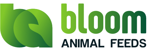Bloom Animal Feeds logo - Premium Dutch quality poultry nutrition